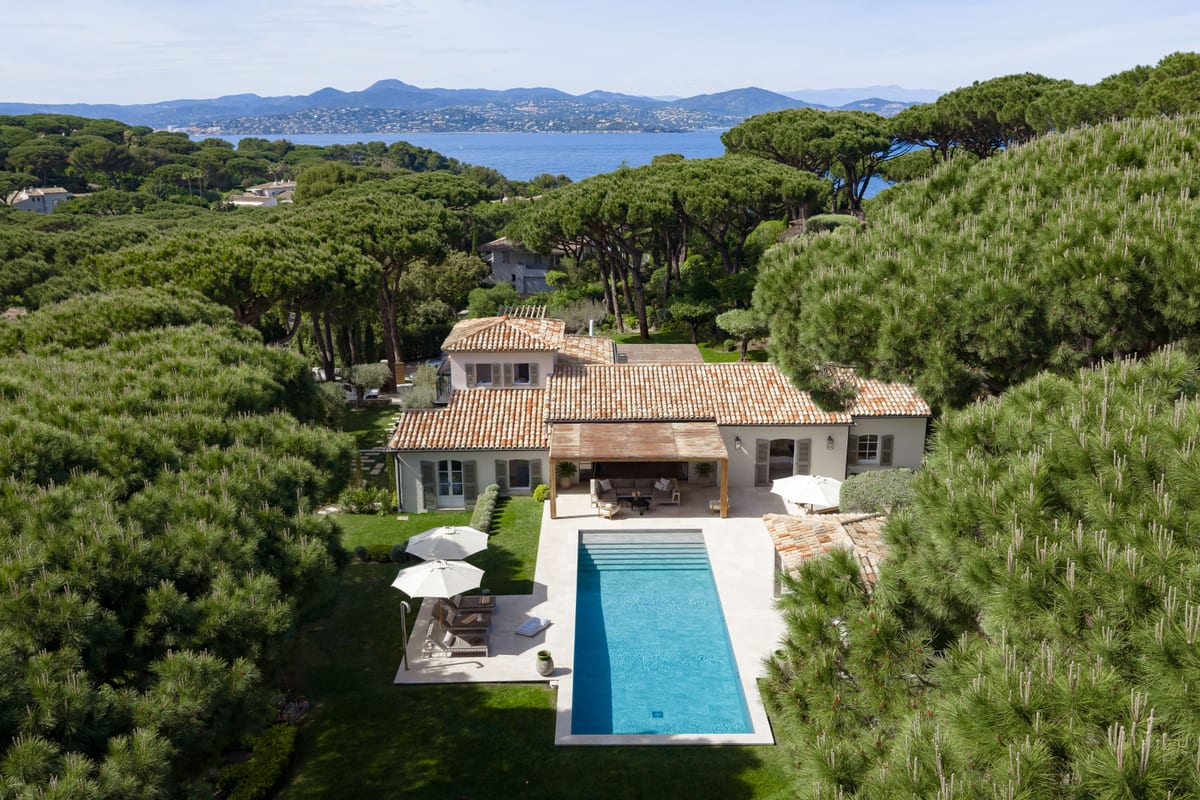 The property seen from the air in daylight: the house and pool in a stand of umbrella pines, with the bay and the town beyond.