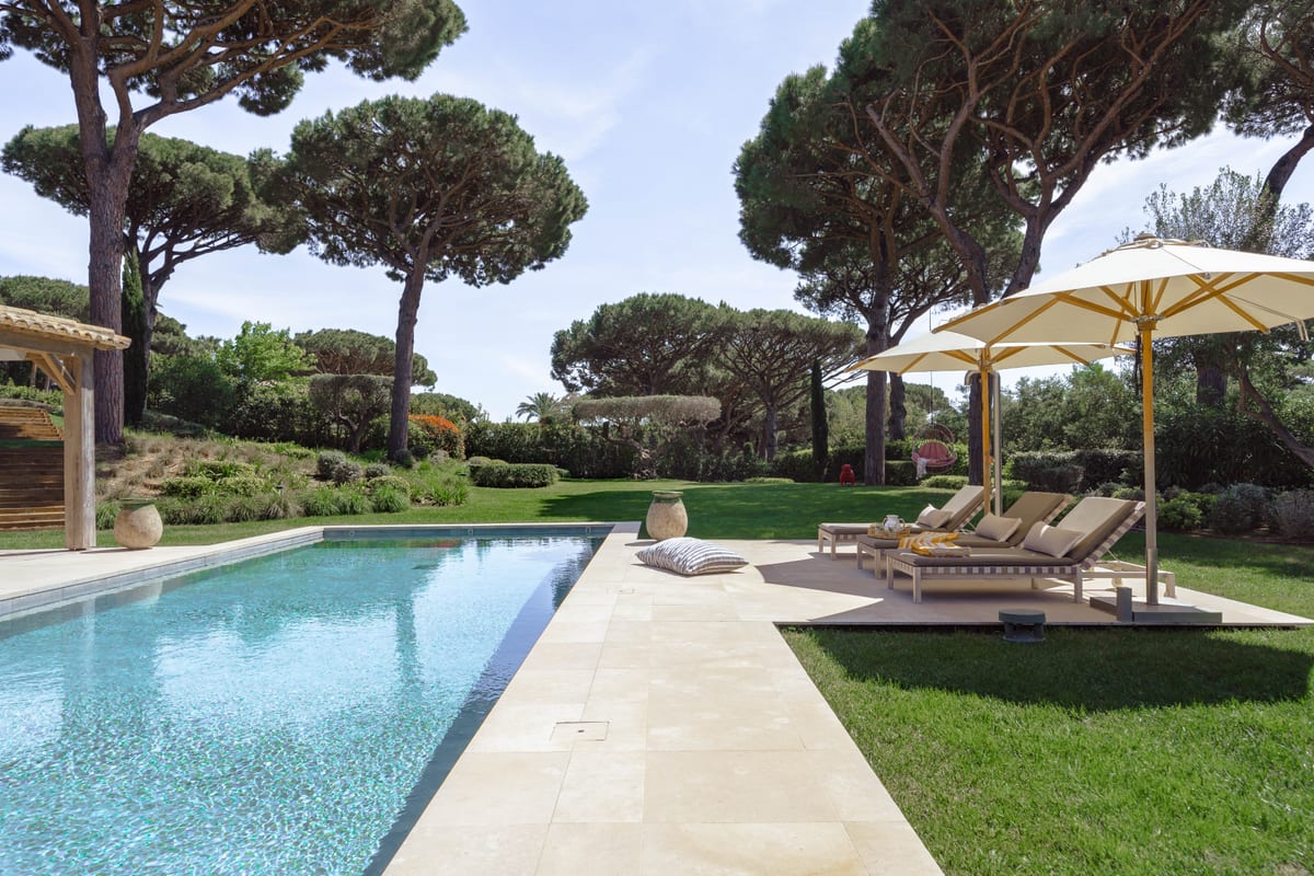 The pool from the paving, with umbrellas and loungers on the grass and pines beyond.