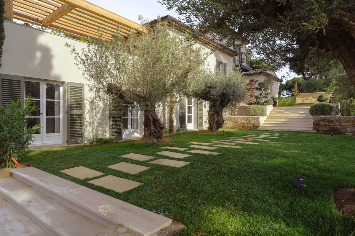 Stone paving across the lawn leading to the side of the house, an olive tree in the foreground.